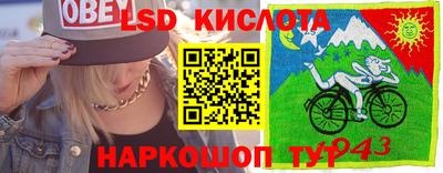 ГАЛЛЮЦИНОГЕННЫЕ ГРИБЫ Кинель