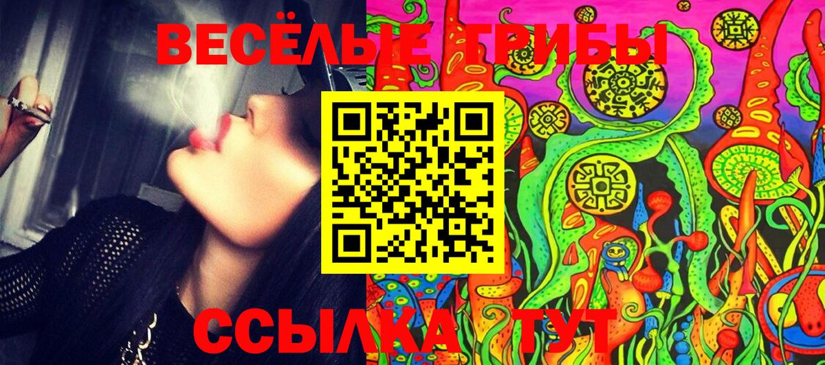 Псилоцибиновые грибы мухоморы  Вход с VPN  Киров 