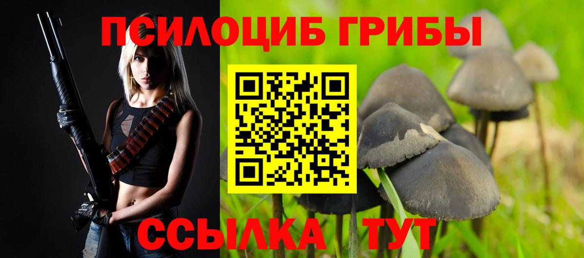 Галлюциногенные грибы Magic Shrooms Киров